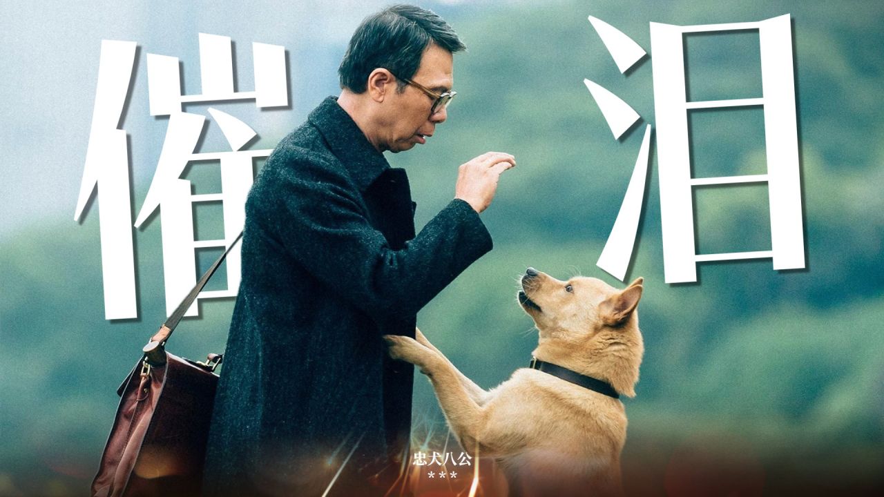 高清播放免费忠犬八公电影_忠犬八公高清免费播放_高清播放免费忠犬八公在线观看