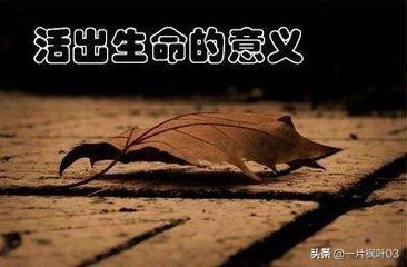 寒食节_寒食_寒食韩翃古诗