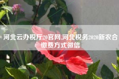 河北省电子税务局热线电话_国家税务局河北省电子总局_河北省电子税务局官网