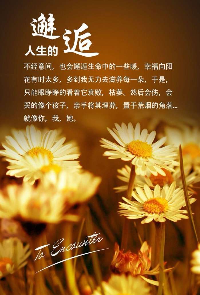 龙子太郎_《龙子太郎》_龙子太朗