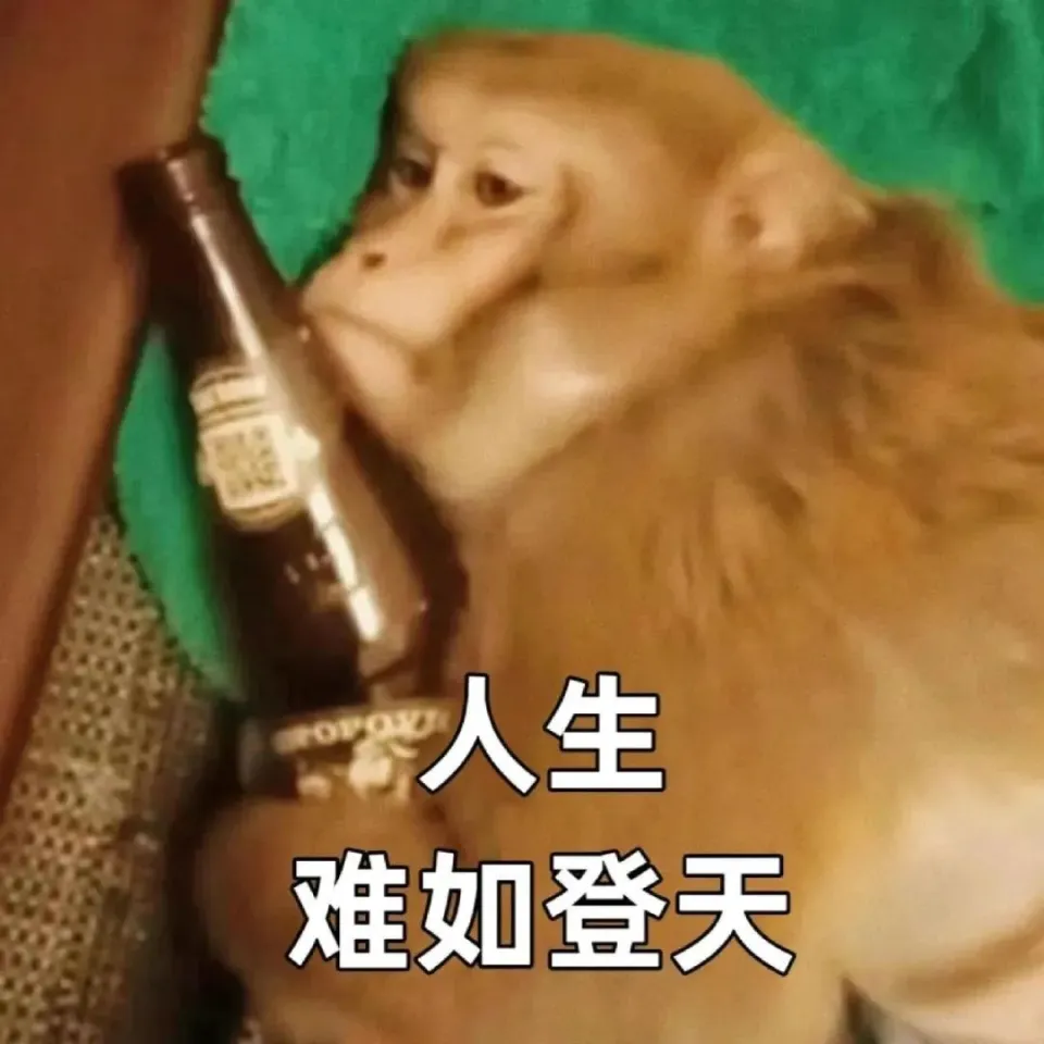 一天玩到晚的手机游戏图片_一天玩到晚的手机游戏图片_一天玩到晚的手机游戏图片