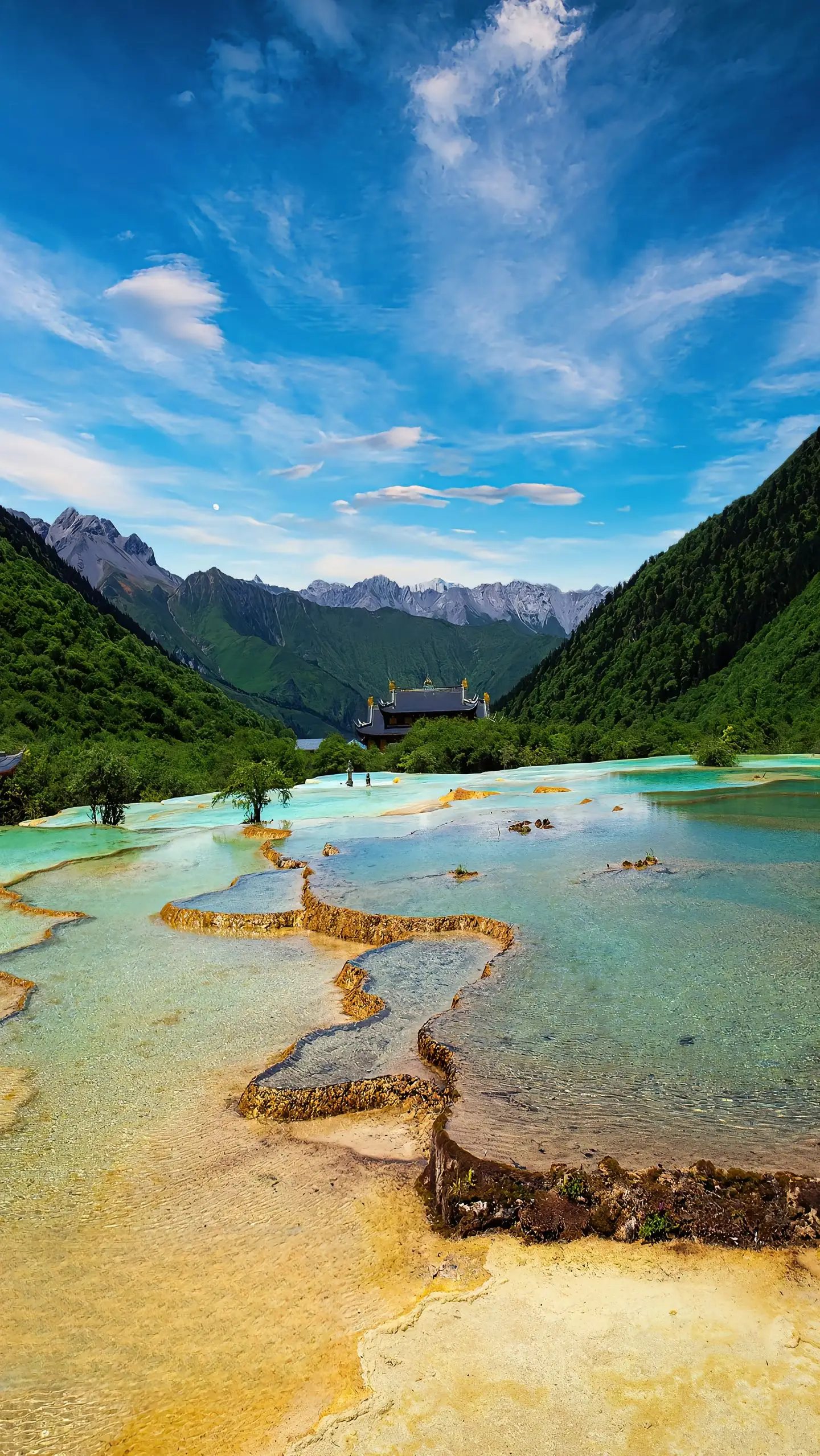 怎么交团费_团员在哪里交团费_在哪里交团费