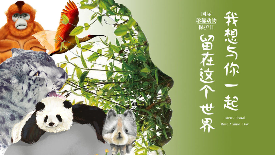 动物保护协会_动物保护日_动物保护色大班教案
