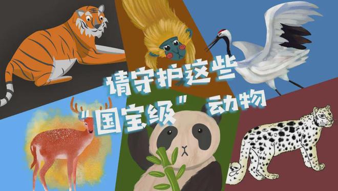 动物保护日_动物保护色大班教案_动物保护协会