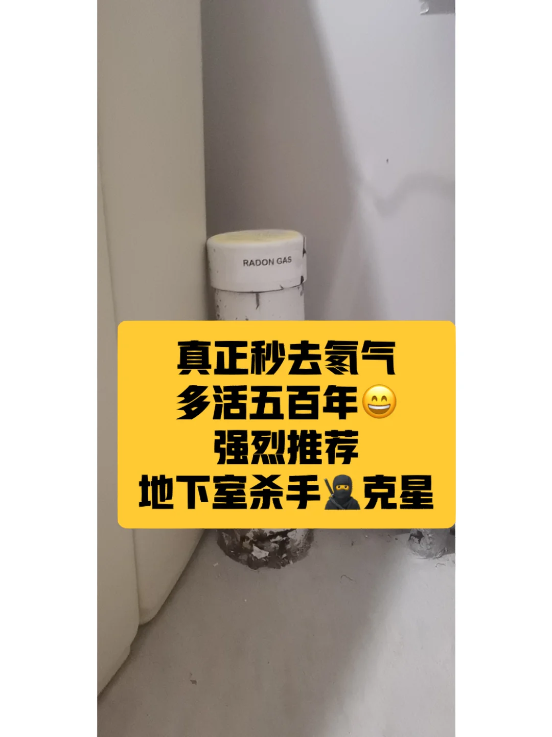 脱离宿舍群体_脱离寝室_宿舍脱离手机游戏