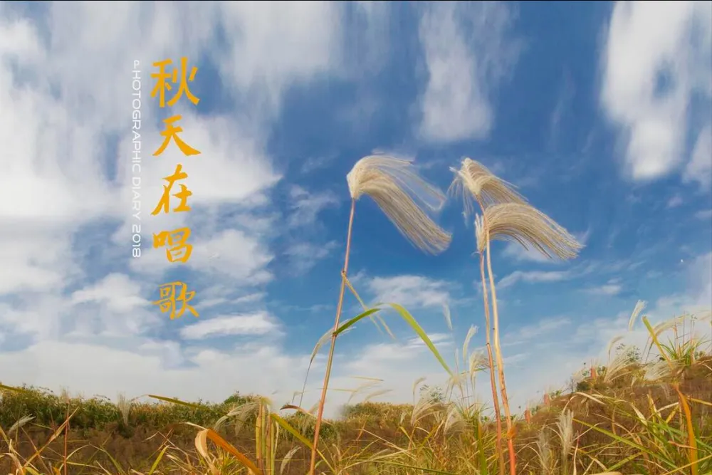 哪天入伏哪天出伏_出伏_2017年入伏与出伏