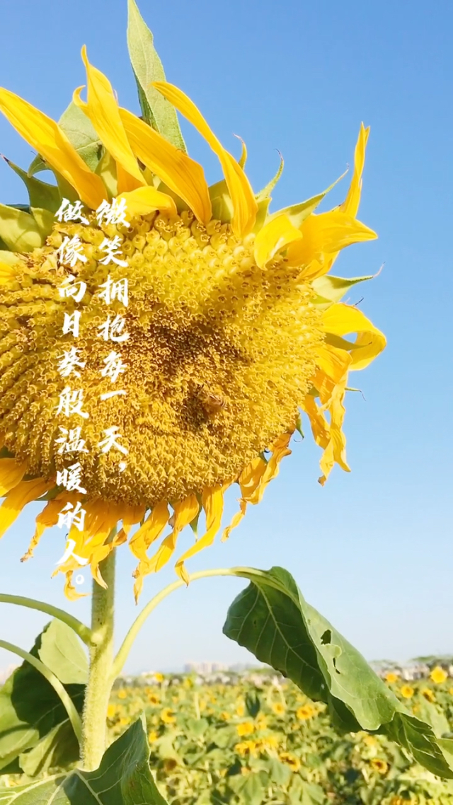 宫内洋_宫内洋_宫内洋