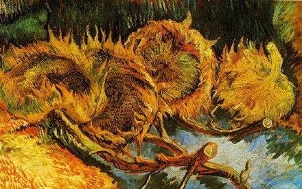 漩涡向日葵x图_漩涡向日葵合集_漩涡向日葵