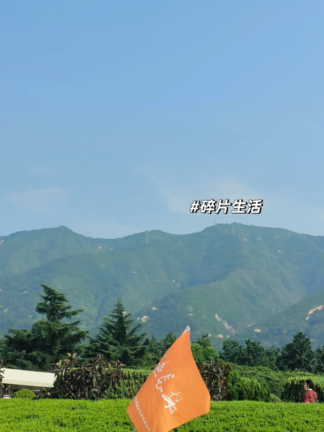 奈绪_奈绪_奈绪