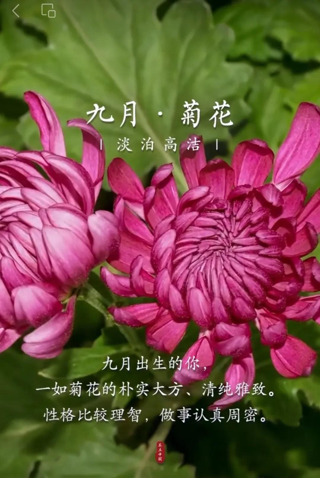 冬月是几月_冬月月是哪一个月_冬月月是几月