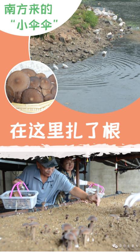 伞游戏微伞游戏_伞小游戏_小伞手机游戏