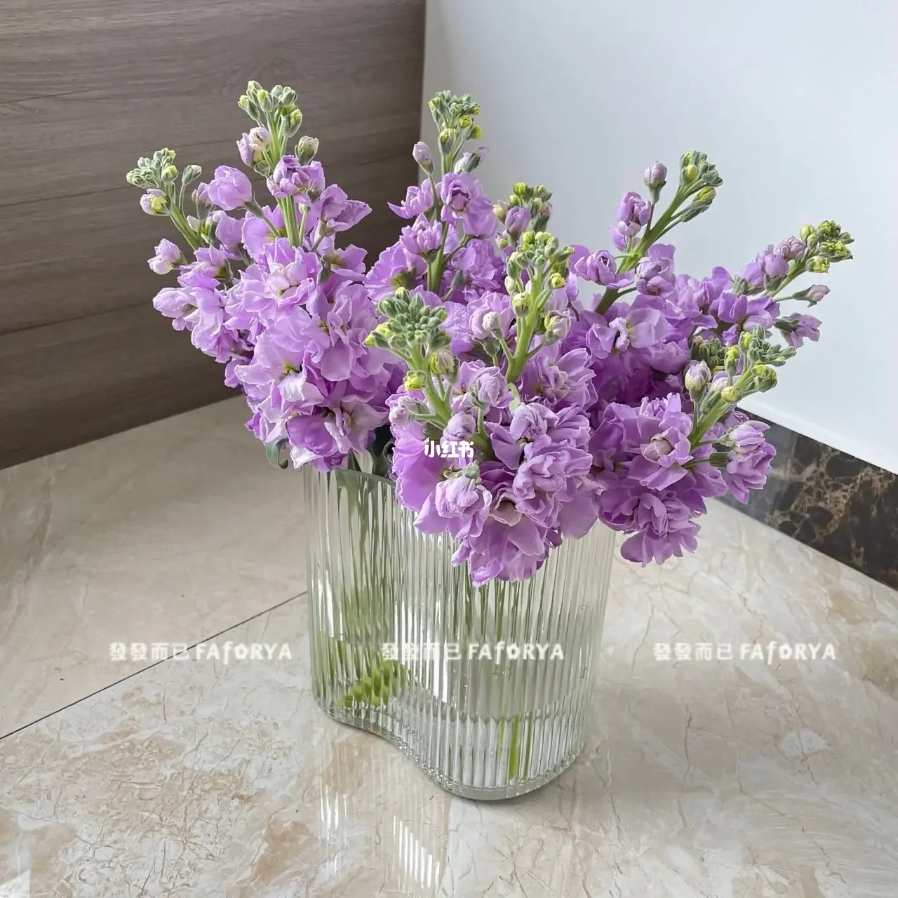 枯萎的花什么意思_永不枯萎的世界与终之花_枯萎世界与终结之花