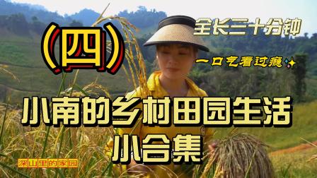 乡村的家安卓汉化直装_乡村的家二游戏下载手机版_乡村游戏