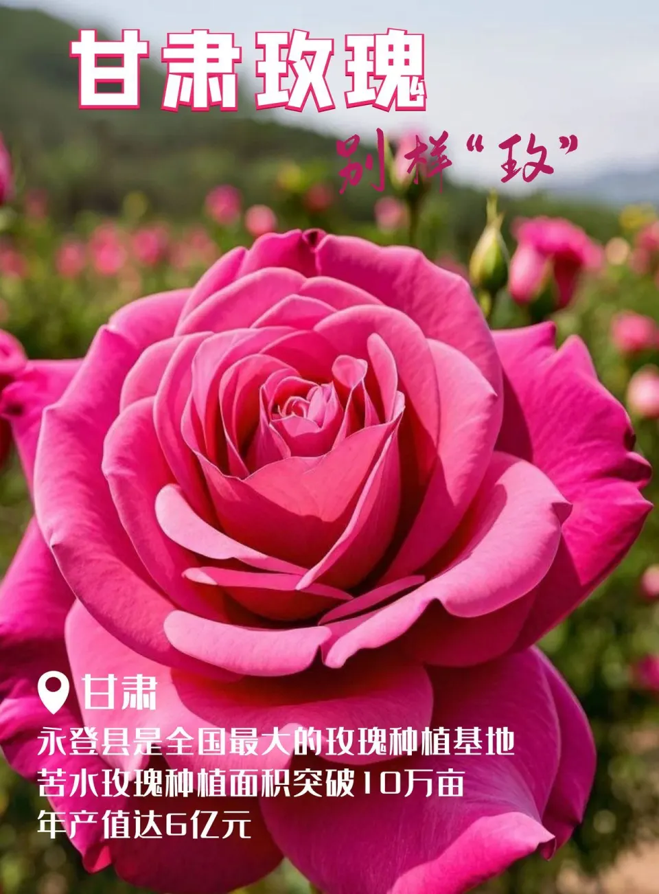 游戏情侣手机_情侣手机游戏推荐_有什么好玩的情侣手机游戏