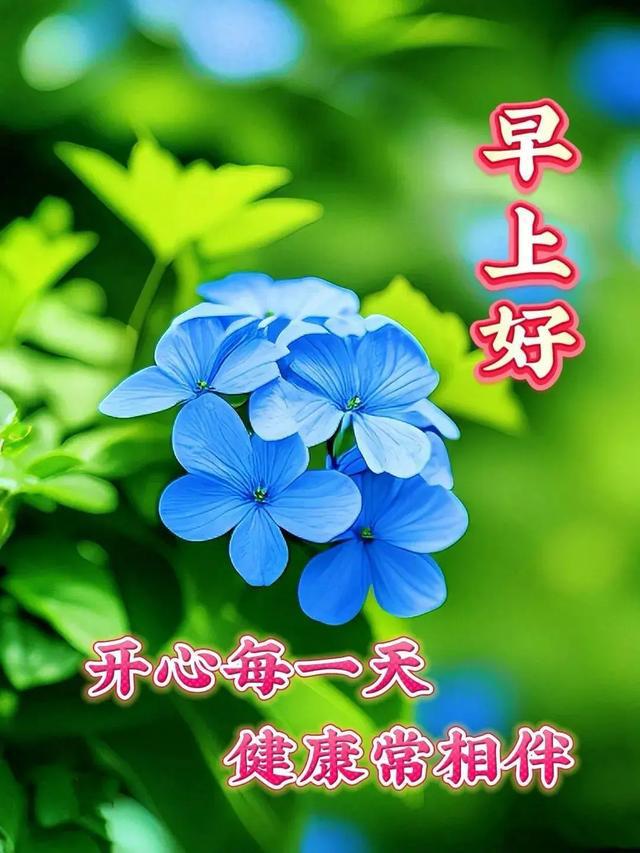 莉姆露r18_莉姆露露萌娘百科_莉姆露露