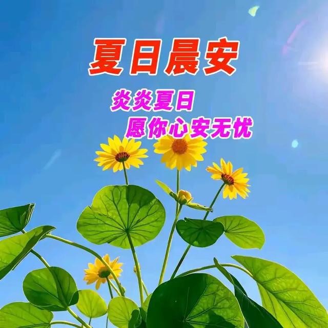 莉姆露露萌娘百科_莉姆露r18_莉姆露露