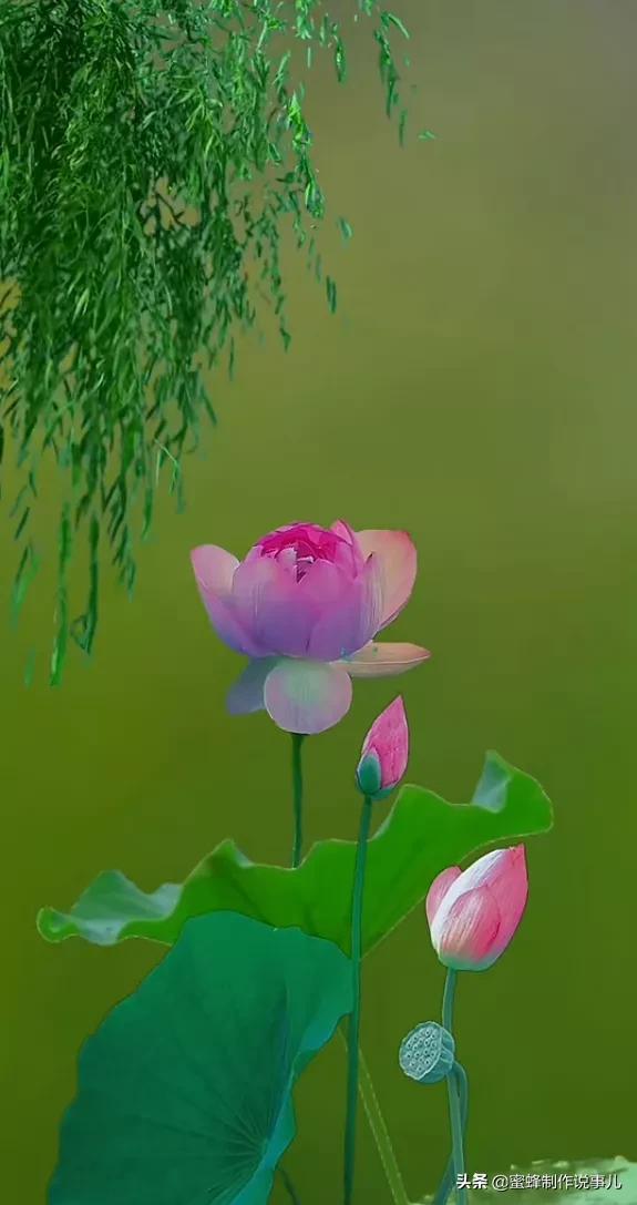 无职业手机游戏_没有职业限制的游戏_无职业的手游