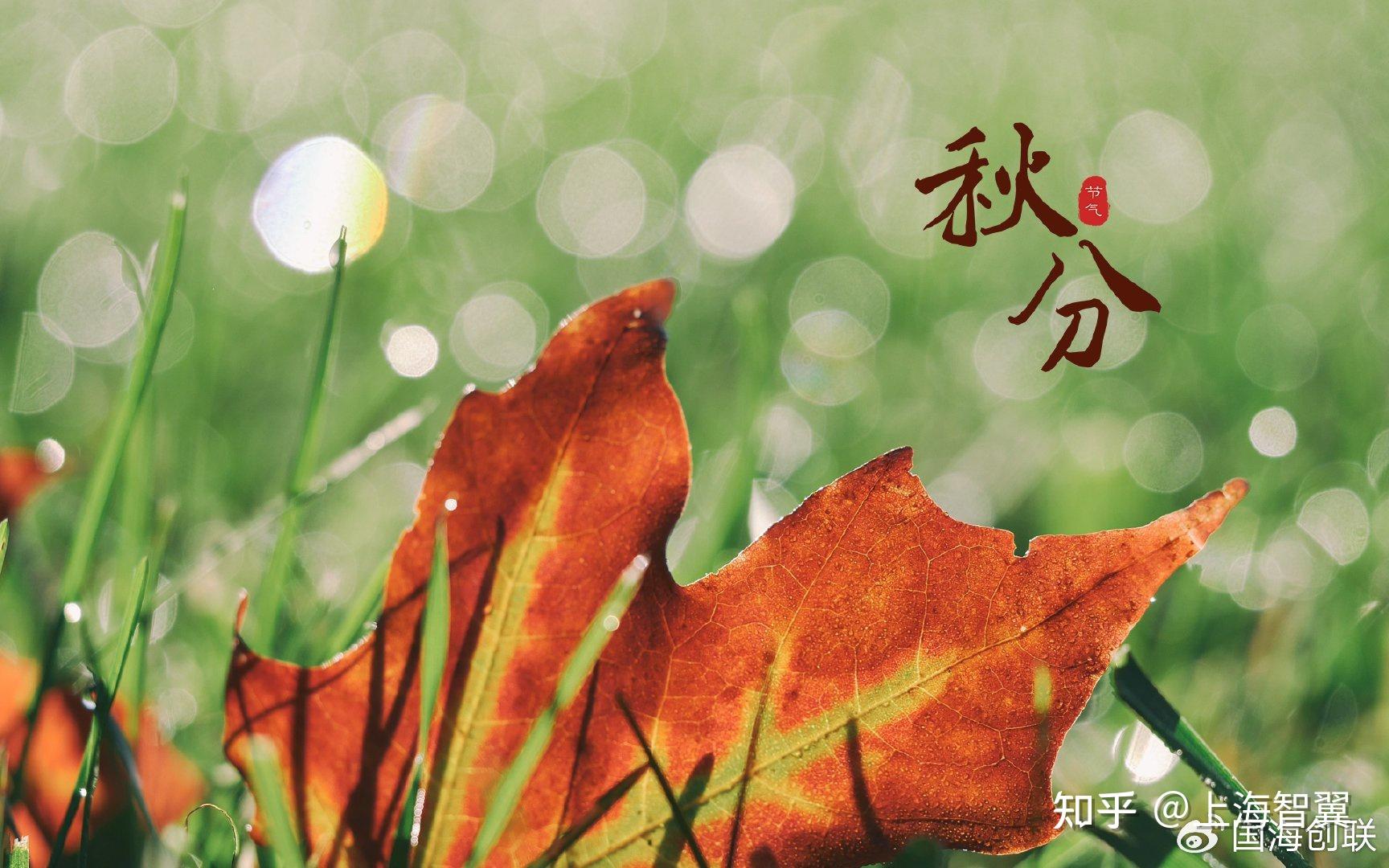 秋天是几月到几月_秋天月是什么意思_秋天到来是几月