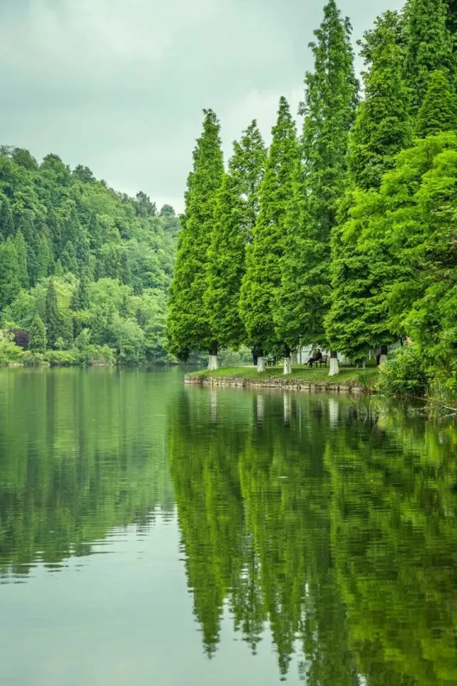 禾夏乘凉梦_夏禾_禾夏什么意思