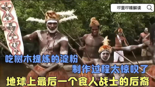 战士的后裔,传承与荣耀的延续(图8) 战士的后裔,传承与荣耀的延续(图8)