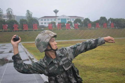 战士的后裔,传承与荣耀的延续(图17) 战士的后裔,传承与荣耀的延续(图17)