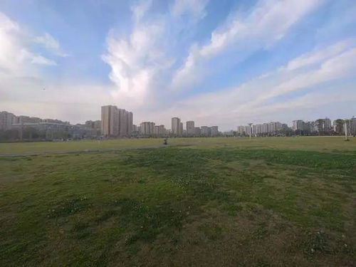 未上锁的房间安卓版(图5) 未上锁的房间安卓版(图5)