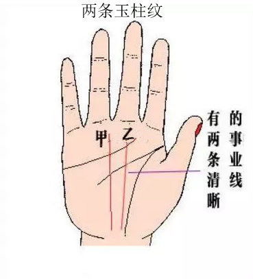 拍照识花助手 (图2) 拍照识花助手 (图2)