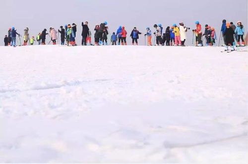 幼儿游戏滑雪,废旧材料变奏的冬季欢乐之旅(图1)