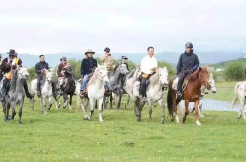 骑骏马游戏,尽享骑骏马游戏的激情冒险之旅(图1)