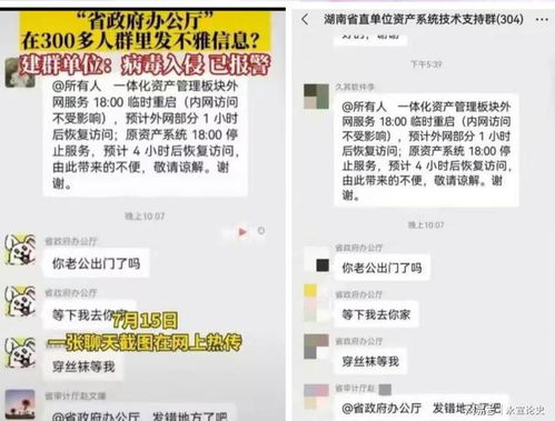 甩病毒游戏,一场智慧与勇气的较量(图2)