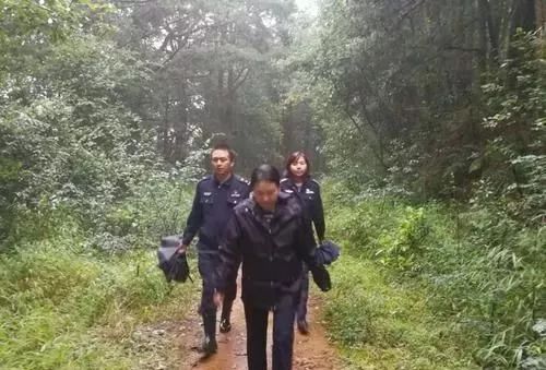 山路交警游戏,守护平安的绿色守护者(图3)