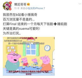 学猪叫游戏,牌技与策略并重的回合制角色扮演游戏(图2)