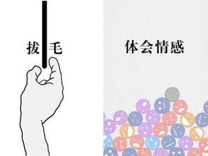 脱发小游戏,趣味游戏带你探索防脱养发之道(图2)