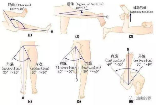 游戏拉关节,打造沉浸式互动体验的秘诀(图1)