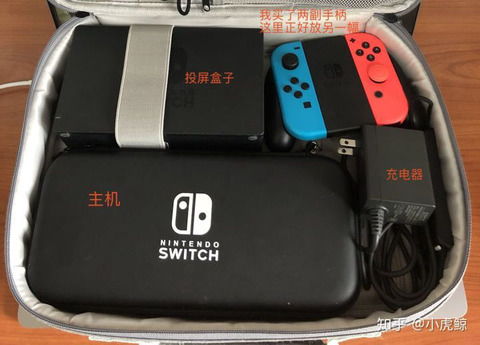 switch游戏小卡,便携娱乐新体验(图3)