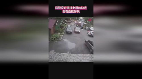 老鼠警察游戏,老鼠警察的智慧逃亡之旅(图1)