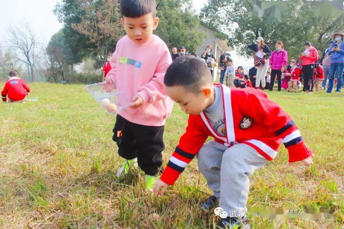 亲子游戏种植,共育绿色梦”(图2)