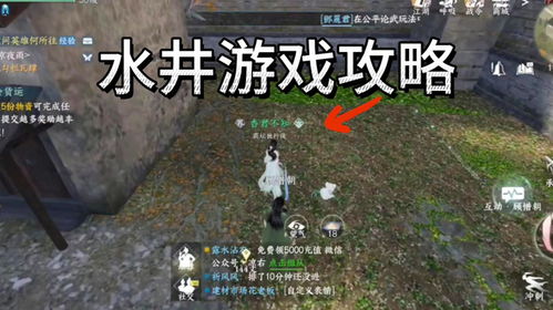 水井的游戏,揭秘神秘井底的奇幻之旅(图3) 水井的游戏,揭秘神秘井底的奇幻之旅(图3)