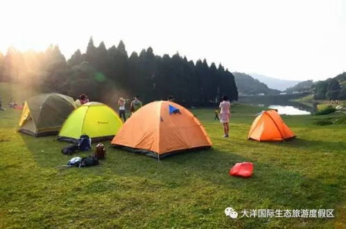 旅行露营游戏,亲子互动游戏攻略全解析”(图2) 旅行露营游戏,亲子互动游戏攻略全解析”(图2)