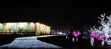 夜景好游戏,探寻城市夜景中的游戏乐园(图3) 夜景好游戏,探寻城市夜景中的游戏乐园(图3)
