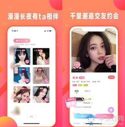 乖猪游戏,趣味横生的互动冒险之旅(图2)