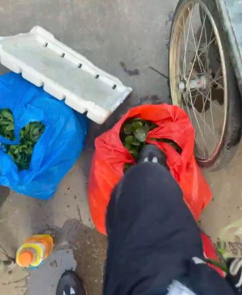 脚踩人游戏,脚踩游戏中的欢乐与冲突(图1) 脚踩人游戏,脚踩游戏中的欢乐与冲突(图1)