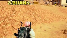 兔子蹬腿游戏,趣味翻滚闯关之旅(图1) 兔子蹬腿游戏,趣味翻滚闯关之旅(图1)