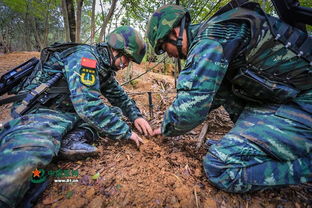 武警战游戏,武警战游戏中的多维战术与协同作战解析(图1) 武警战游戏,武警战游戏中的多维战术与协同作战解析(图1)