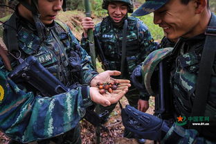 武警战游戏,武警战游戏中的多维战术与协同作战解析(图2) 武警战游戏,武警战游戏中的多维战术与协同作战解析(图2)