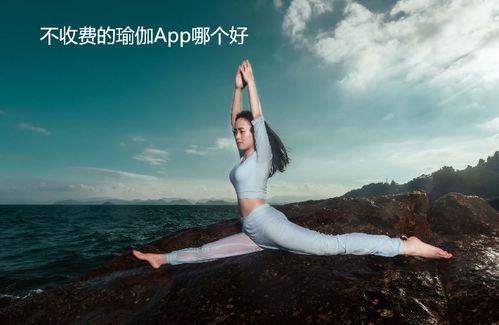 瑜伽拍照游戏,赢取健康与快乐(图3) 瑜伽拍照游戏,赢取健康与快乐(图3)