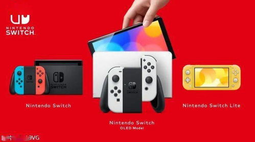 switch数值游戏,跟随switch数值开启奇幻冒险之旅(图2) switch数值游戏,跟随switch数值开启奇幻冒险之旅(图2)