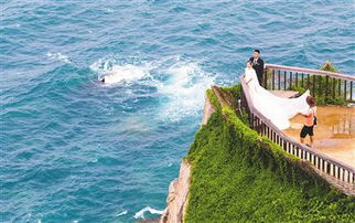 旅游岛游戏,旅游岛游戏深度解析(图3)