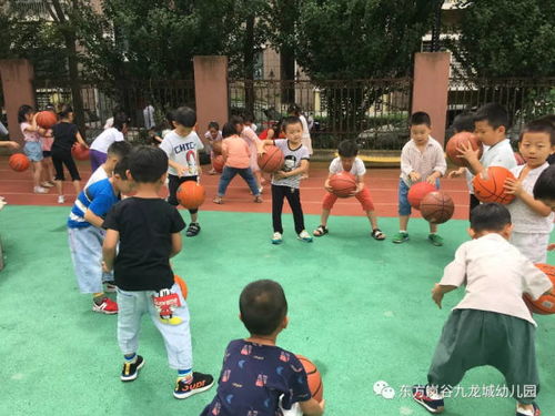 体育游戏小,培养身心全面发展的小小运动家(图1) 体育游戏小,培养身心全面发展的小小运动家(图1)