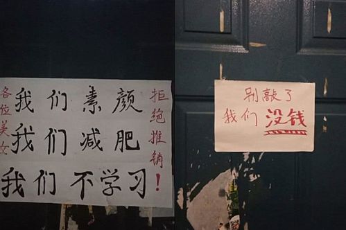 宿舍游戏牌,福尔豪斯牌型深度解析与实战技巧(图1) 宿舍游戏牌,福尔豪斯牌型深度解析与实战技巧(图1)